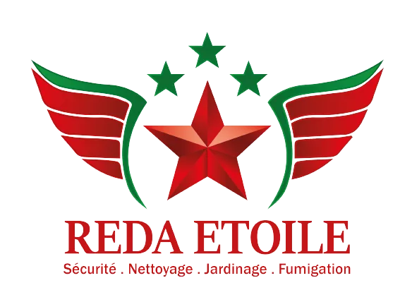 logo_Plan_de_travail_1-removebg-preview